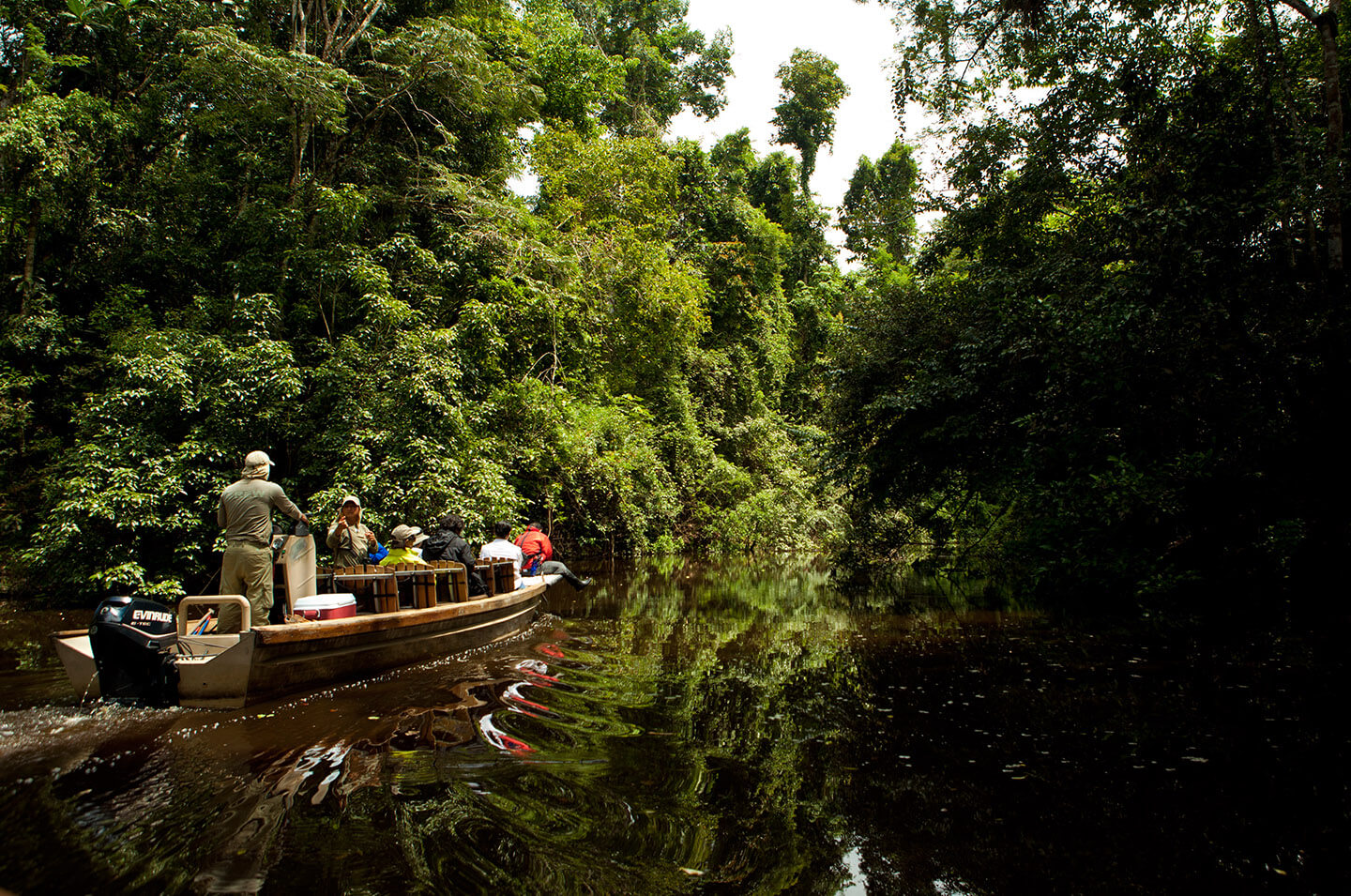 7-Excursion-into-the-Amazon