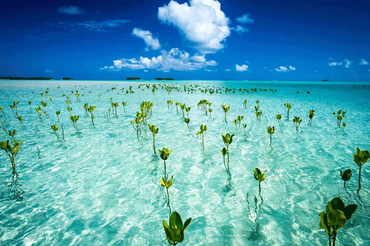 Tuvalu, Polynesia
